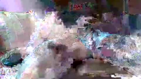 Snapshot of morboso2563 chatting on November 21, 2025, 10:30 pm morboso2563 online show from November 21, 2025, 10:30 pm