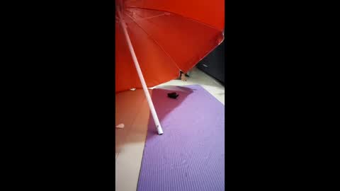 morbucksrica online show from February 15, 2026, 3:25 am