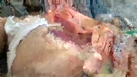 Arab boy online show from November 24, 2025, 12:05 pm