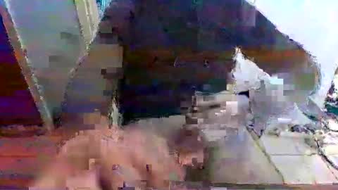 Snapshot of mppempis81 chatting on November 15, 2025, 7:27 am mppempis81 online show from November 15, 2025, 7:27 am