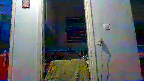 Snapshot of mppempis81 chatting on November 19, 2025, 3:45 pm mppempis81 online show from November 19, 2025, 3:45 pm