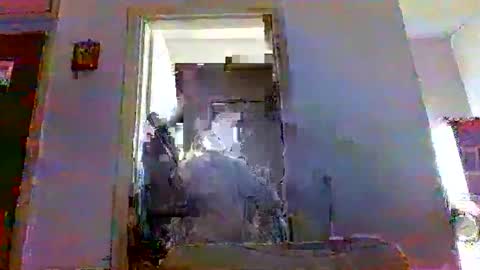 Snapshot of mppempis81 chatting on November 23, 2025, 7:08 am mppempis81 online show from November 23, 2025, 7:08 am