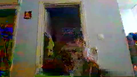 mppempis81 online show from January 5, 2026, 6:44 pm