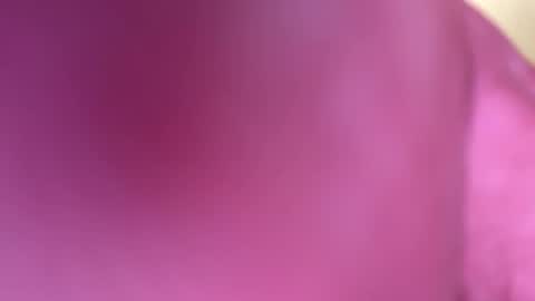 mr6ray online show from January 8, 2025, 3:40 am