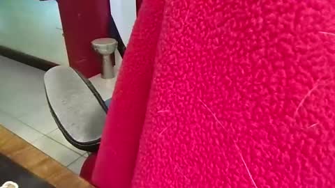 mr_atwood online show from April 20, 2026, 4:32 pm