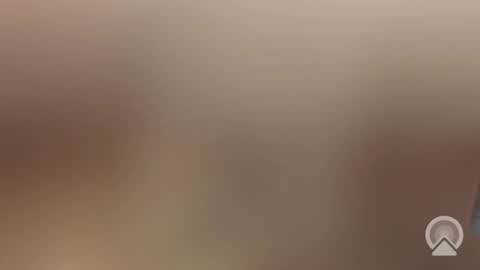 nlNL online show from October 8, 2025, 7:33 pm