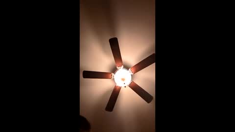 mrorange50187 online show from January 4, 2025, 11:27 pm