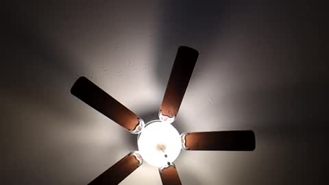 mrorange50187 online show from January 26, 2025, 10:02 pm