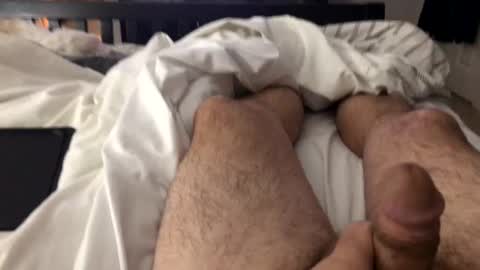 mrrogue online show from February 26, 2025, 4:36 am