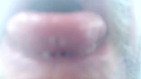 Snapshot of mrtease5 chatting on February 2, 2026, 11:31 am mrtease5 online show from February 2, 2026, 11:31 am