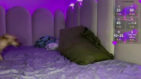 Snapshot of ms_ditaa chatting on July 3, 2026, 10:16 pm Dita online show from July 3, 2026, 10:16 pm