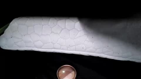 msmomy69 online show from November 18, 2025, 2:43 pm