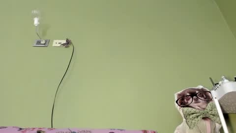 MsPurrfectLove online show from February 2, 2025, 6:31 pm