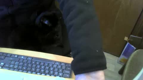 muller520 online show from January 22, 2025, 4:02 pm