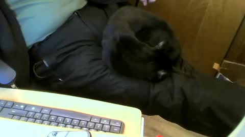 muller520 online show from January 22, 2025, 7:03 pm