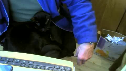 muller520 online show from February 22, 2025, 11:13 am