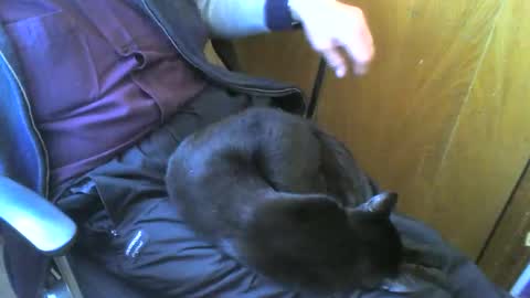 muller520 online show from March 14, 2026, 2:33 pm