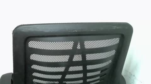 muscle_queen0 online show from February 18, 2026, 6:42 am