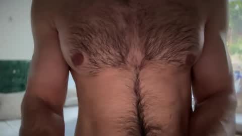 musclehair3 online show from February 2, 2025, 12:24 pm