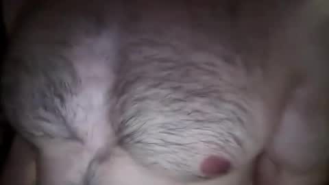 musclehair3 online show from February 26, 2025, 8:22 pm