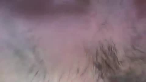 Snapshot of musclehair3 chatting on July 13, 2026, 8:11 pm musclehair3 online show from July 13, 2026, 8:11 pm
