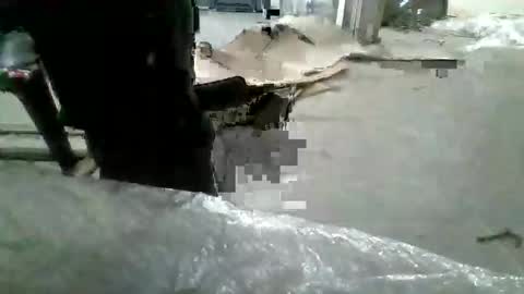 mustafaizmirturkey online show from February 21, 2026, 12:06 pm