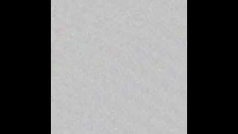 ghost mantis online show from March 2, 2025, 10:05 pm