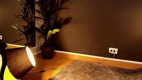 Maite online show from February 1, 2025, 5:58 pm