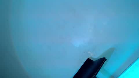 Serena online show from February 8, 2025, 8:31 am