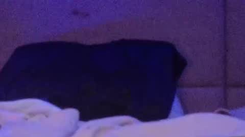 Snapshot of mycloudyalt chatting on March 21, 2026, 1:54 am mycloudyalt online show from March 21, 2026, 1:54 am