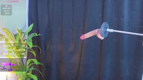 Kathe online show from February 28, 2025, 2:53 pm