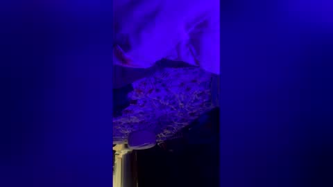 mysexiness0 online show from March 12, 2026, 3:23 am