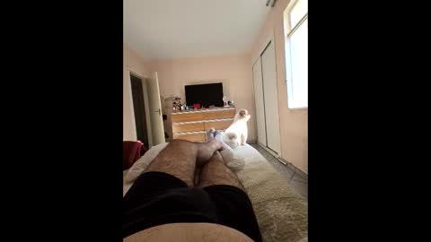 mysterbearmg online show from September 27, 2025, 6:46 pm