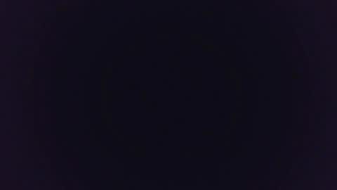 MysteryMonkey online show from January 11, 2025, 2:09 am