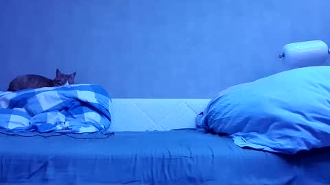 n3philim999 online show from October 12, 2025, 10:09 pm