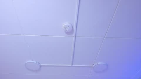 Naenia online show from November 21, 2025, 4:00 am