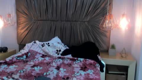 nai_blue online show from October 7, 2025, 3:14 am