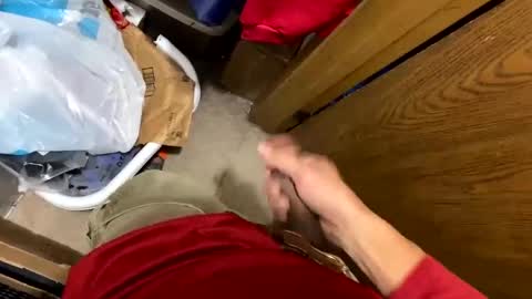 Snapshot of nairda2senoniuq chatting on December 5, 2024, 4:09 am nairda2senoniuq online show from December 5, 2024, 4:09 am