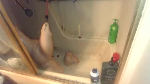 nakednate1780 online show from February 6, 2025, 7:13 am