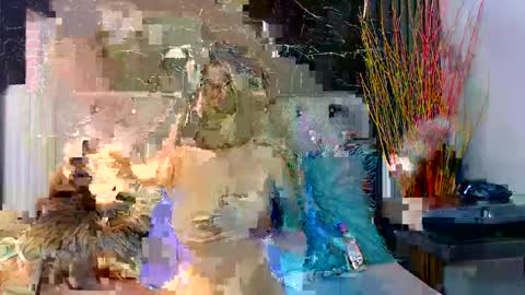 NALAROY online show from December 3, 2024, 7:55 pm