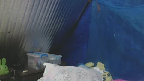 IamYourSafeHaven online show from February 18, 2025, 10:49 am