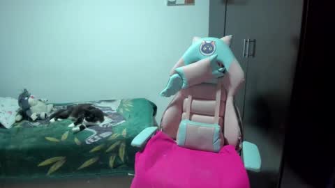 Nami online show from February 7, 2025, 11:01 am