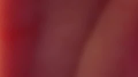 Nancy and Archi online show from December 12, 2024, 7:52 am