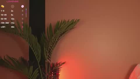 nanis_dash online show from December 20, 2025, 7:32 pm