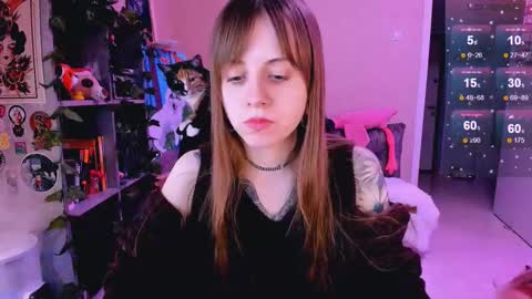 Snapshot of nanitamoore chatting on February 24, 2025, 11:52 pm Monday-Friday 12-4 AM and 6-9 AM New York time online show from February 24, 2025, 11:52 pm