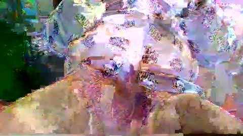 Snapshot of nano527 chatting on February 12, 2026, 7:25 am nano527 online show from February 12, 2026, 7:25 am