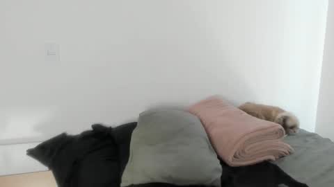 Snapshot of naomimoore chatting on January 17, 2026, 6:11 pm Naomi Moore online show from January 17, 2026, 6:11 pm