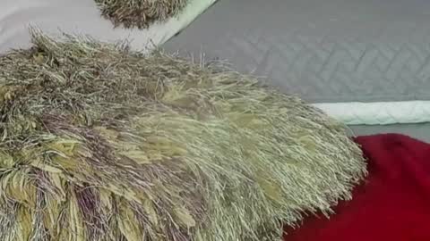 Naomy Smith online show from December 13, 2024, 11:06 pm