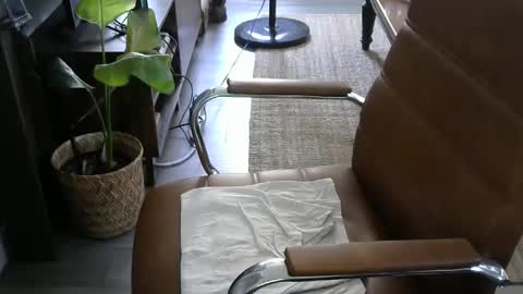 nareth338 online show from September 19, 2025, 8:42 pm