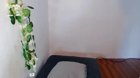 nashdiam online show from November 30, 2025, 7:23 am